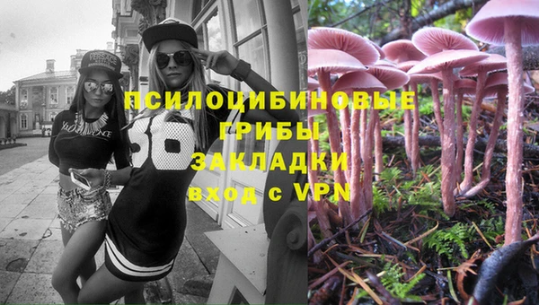 ALPHA PVP Киреевск